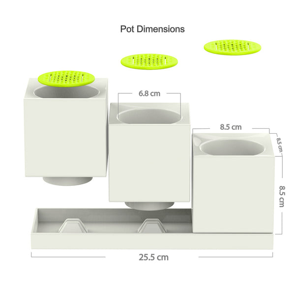 Modular Desktop Garden