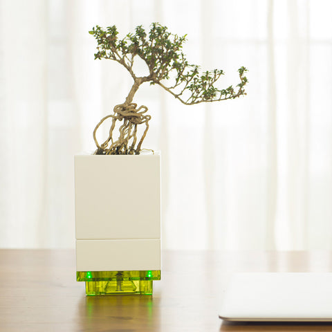 Creative Modular Selfwatering Square White Pot - Kitchen Garden, Home and Office Decoration (4-port USB Charger Pot)