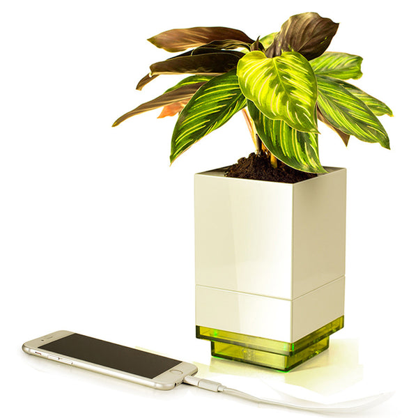 Creative Modular Selfwatering Square White Pot - Kitchen Garden, Home and Office Decoration (4-port USB Charger Pot)