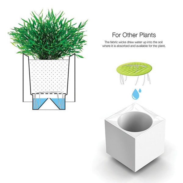 Modular Desktop Garden