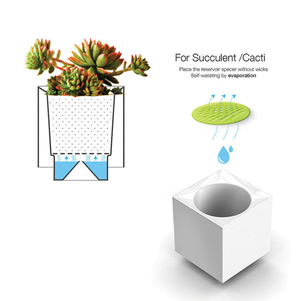 Modular Desktop Garden