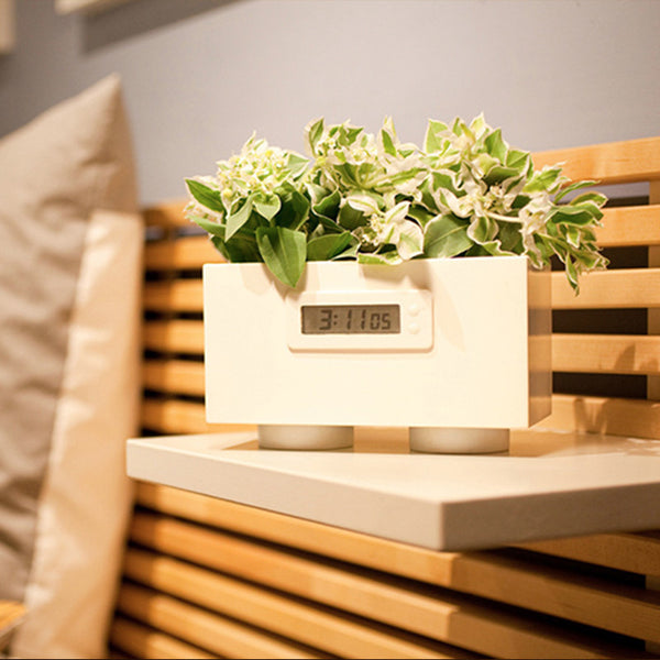 Modular Desktop Garden