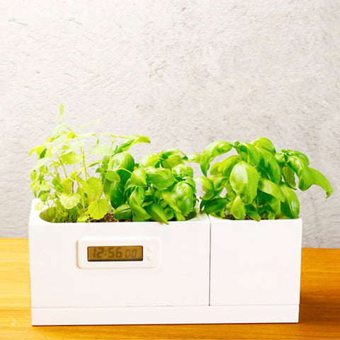 Modular Desktop Garden