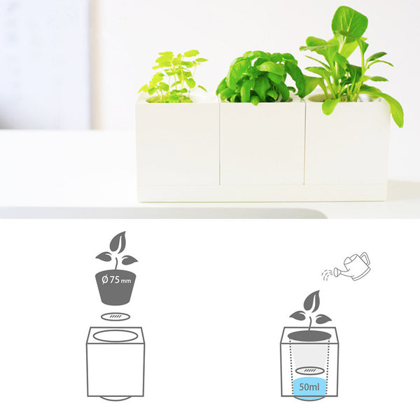 Modular Desktop Garden