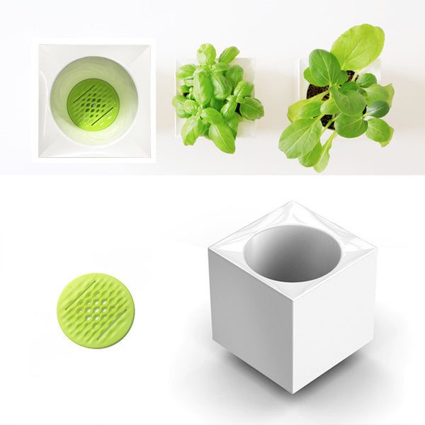 Modular Desktop Garden